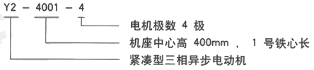 YR系列(H355-1000)高压Y4507-12/200KW三相异步电机西安西玛电机型号说明